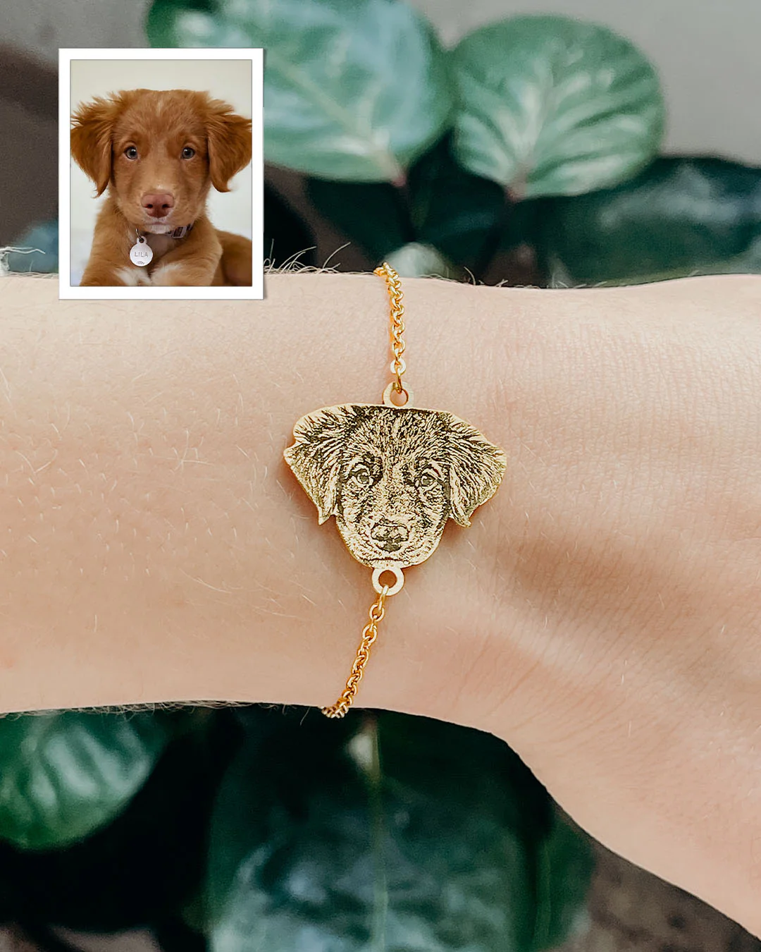 Pulsera